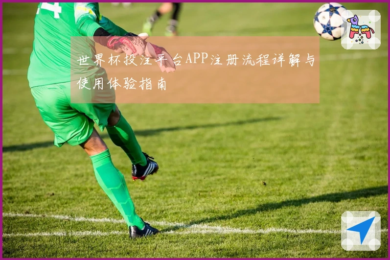 世界杯投注平台APP注册流程详解与使用体验指南