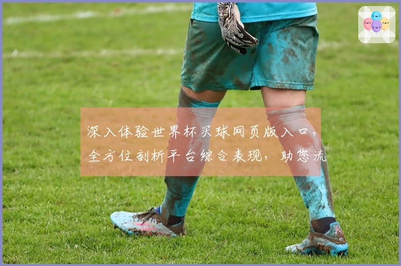 深入体验世界杯买球网页版入口，全方位剖析平台综合表现，助您流畅观赛。