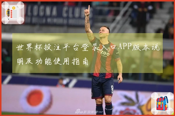 世界杯投注平台登录入口APP版本说明及功能使用指南