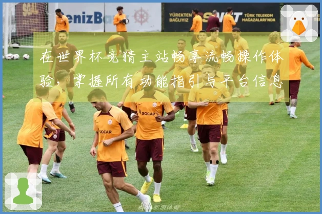 在世界杯竞猜主站畅享流畅操作体验，掌握所有功能指引与平台信息