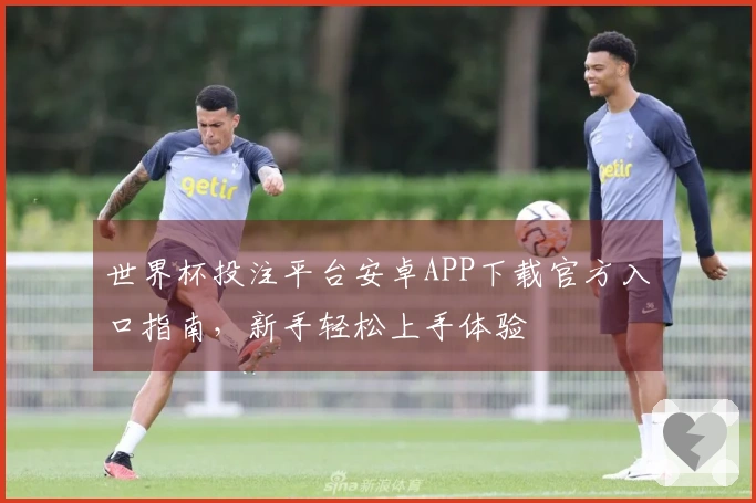 世界杯投注平台安卓APP下载官方入口指南，新手轻松上手体验