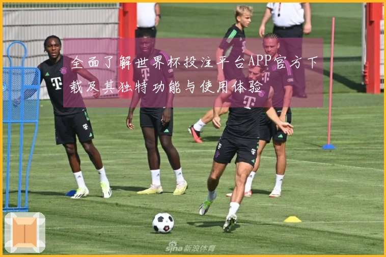 全面了解世界杯投注平台APP官方下载及其独特功能与使用体验