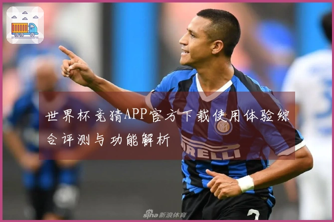 世界杯竞猜APP官方下载使用体验综合评测与功能解析