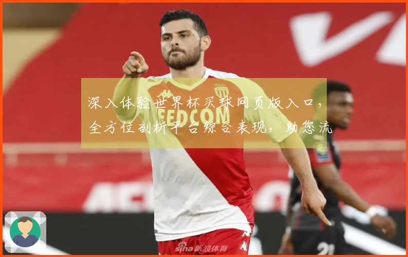 深入体验世界杯买球网页版入口，全方位剖析平台综合表现，助您流畅观赛。