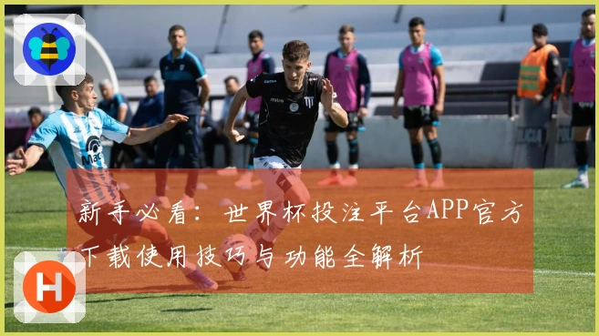 新手必看：世界杯投注平台APP官方下载使用技巧与功能全解析