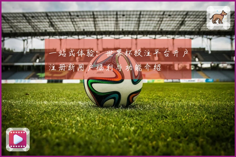一站式体验：世界杯投注平台开户注册新用户福利与功能介绍