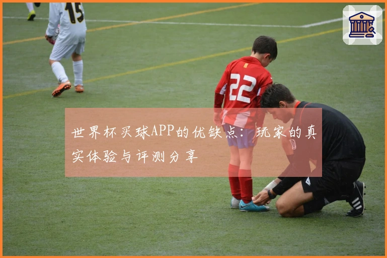 世界杯买球APP的优缺点：玩家的真实体验与评测分享