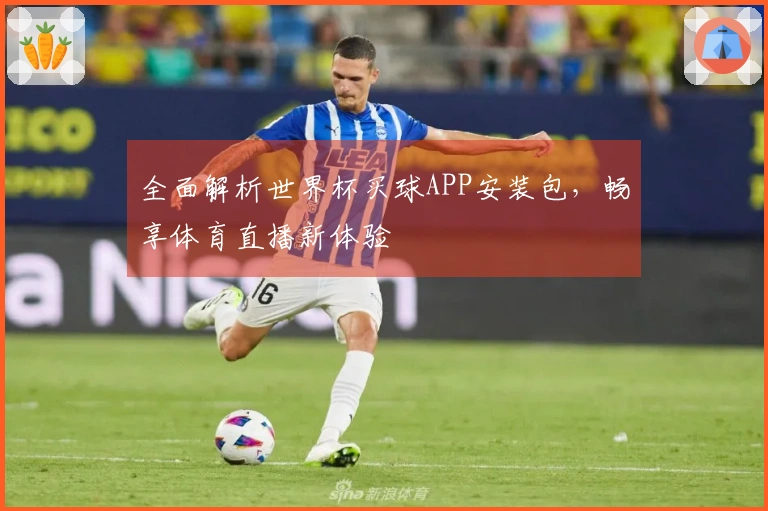 全面解析世界杯买球APP安装包，畅享体育直播新体验
