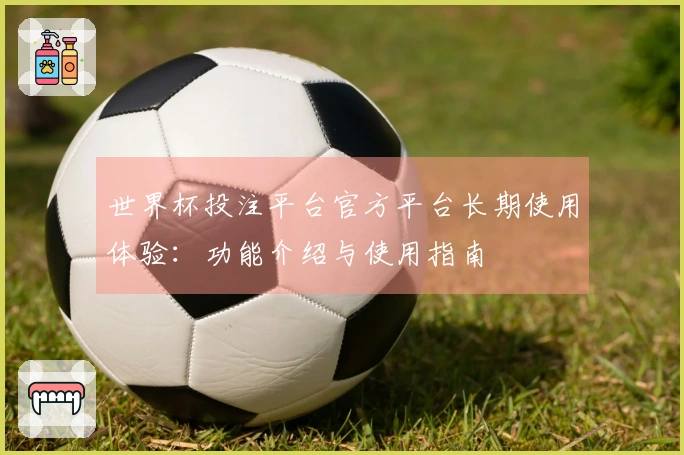世界杯投注平台官方平台长期使用体验：功能介绍与使用指南