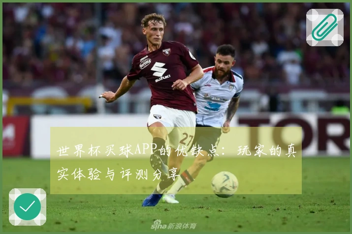 世界杯买球APP的优缺点：玩家的真实体验与评测分享