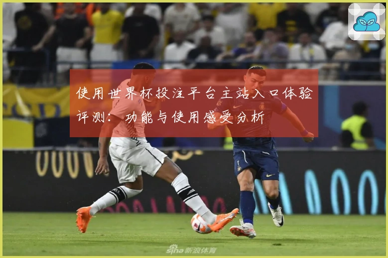使用世界杯投注平台主站入口体验评测：功能与使用感受分析