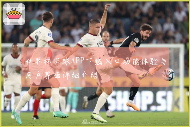 世界杯买球APP下载入口功能体验与用户界面详细介绍