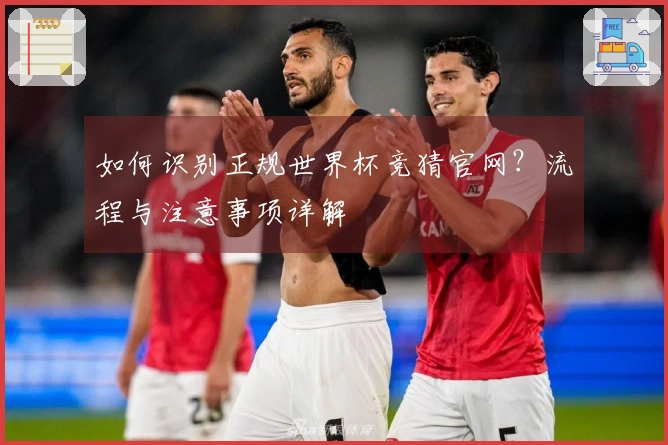 如何识别正规世界杯竞猜官网？流程与注意事项详解