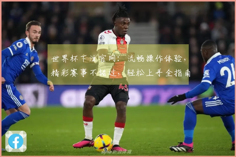 世界杯下注官网:流畅操作体验,精彩赛事不错过,轻松上手全指南