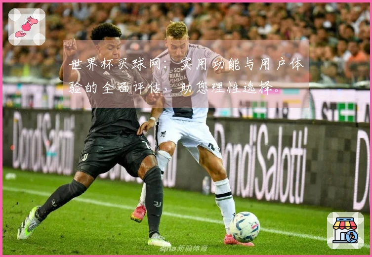 世界杯买球网：实用功能与用户体验的全面评估，助您理性选择。