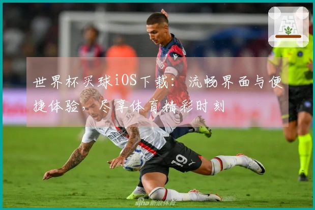 世界杯买球iOS下载：流畅界面与便捷体验，尽享体育精彩时刻