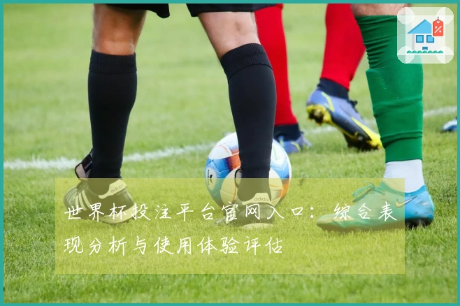 世界杯投注平台官网入口：综合表现分析与使用体验评估