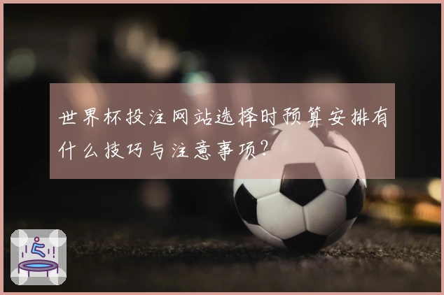 世界杯投注网站选择时预算安排有什么技巧与注意事项？