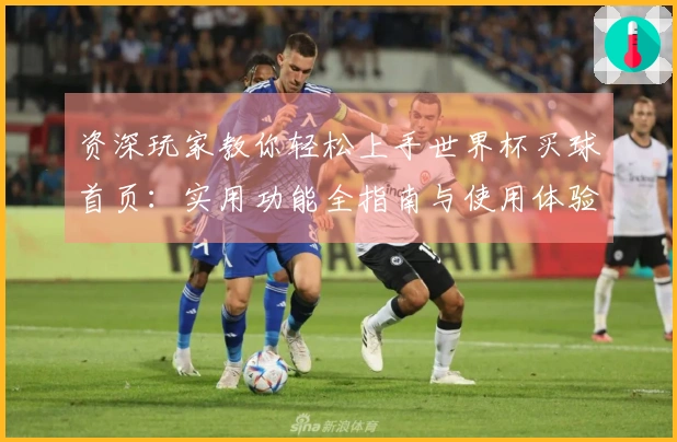 资深玩家教你轻松上手世界杯买球首页：实用功能全指南与使用体验分享