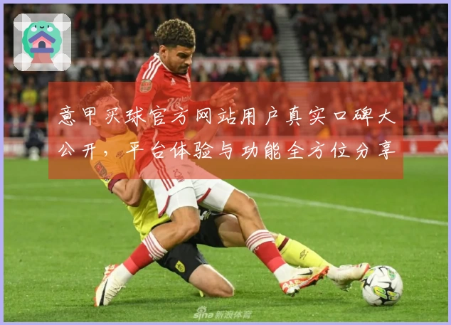 意甲买球官方网站用户真实口碑大公开，平台体验与功能全方位分享